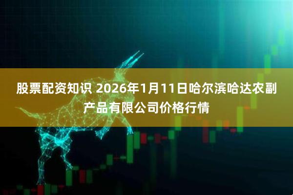 股票配资知识 2026年1月11日哈尔滨哈达农副产品有限公司价格行情